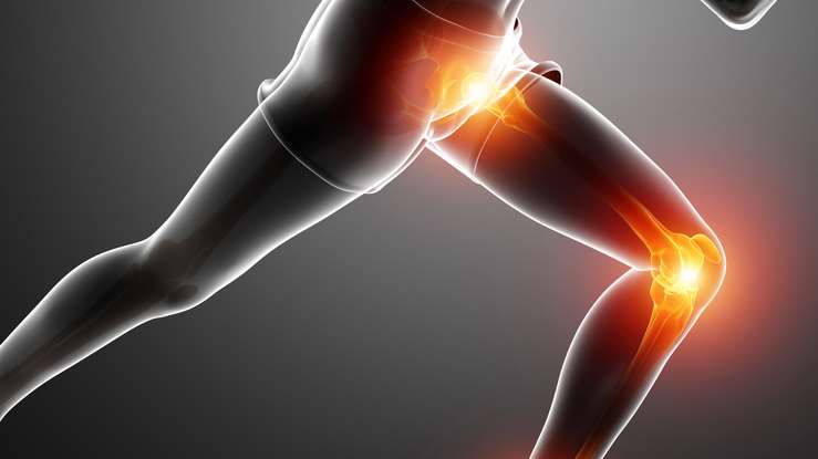 Science Cafe Hip Knee_Image Text Split Component