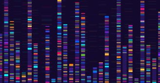 CTSI and Mellowes Center for Genomic Sciences and Precision Medicine announce NGS-Based Pilot Projects – Sequencing, Bioinformatics, and Analysis RFA